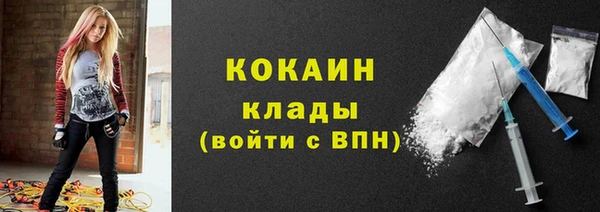 apvp Алексин