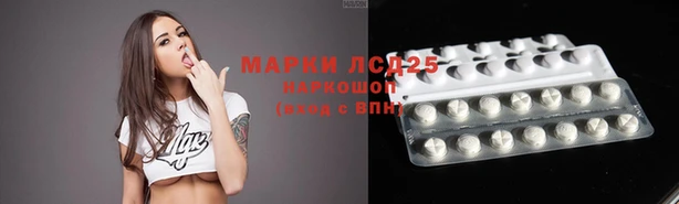 спиды Алзамай
