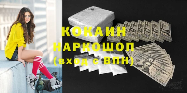 apvp Алексин