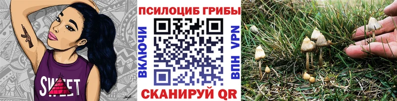 магазин    Кизилюрт  Псилоцибиновые грибы Magic Shrooms 